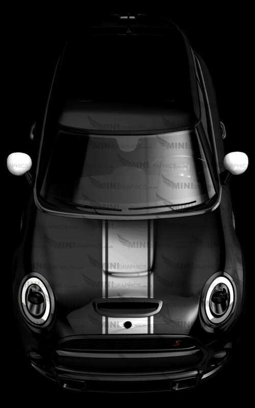 3 stripe bonnet graphic