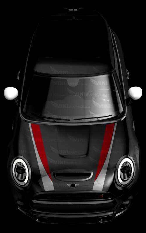 dual curve bonnet stripes